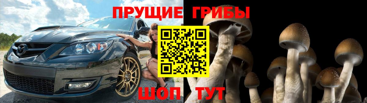 Галлюциногенные грибы Magic Shrooms  Вход с VPN  Славянск-на-Кубани 